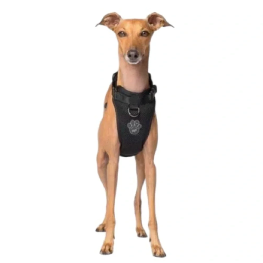 NWT Canada Pooch Everything Dog Harnesss M